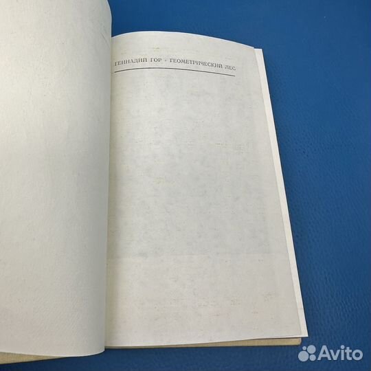 Геометрический лес Геннадий Гор 1975
