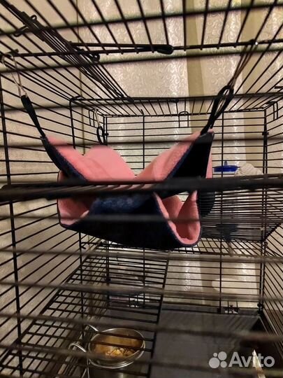 Гамак для крыс