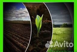 Торфогрунт в мешках/ торфогрунт навалом