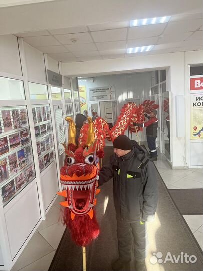 Костюм дракона