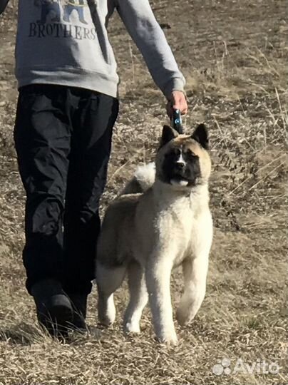 Яркая девочка