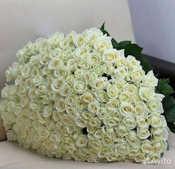 Высокие розы Гигантские розы Доставка цветов