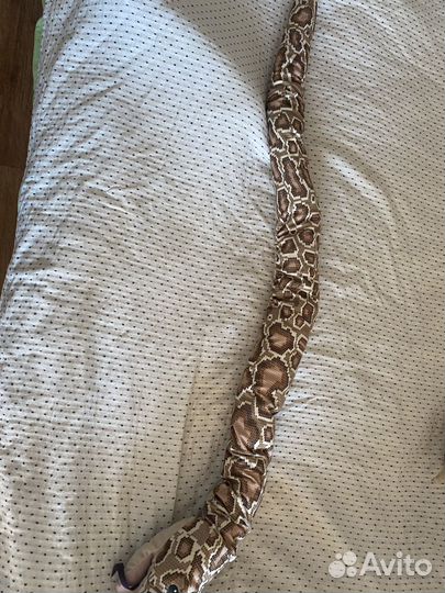 Мягкие игрушки из IKEA