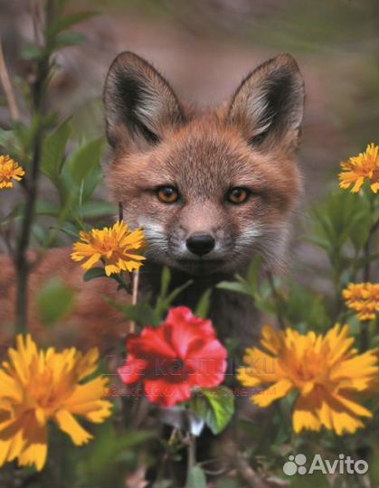 Алмазная мозаика 40x50 Ушастый лисенок среди