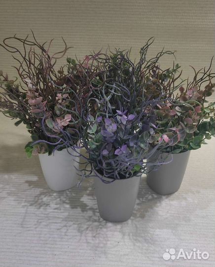 Искусственные растения для декора. Фикус, пальма