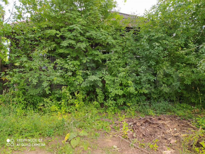 Участок 6 сот. (ИЖС)