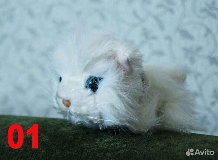 Коллекция котиков 