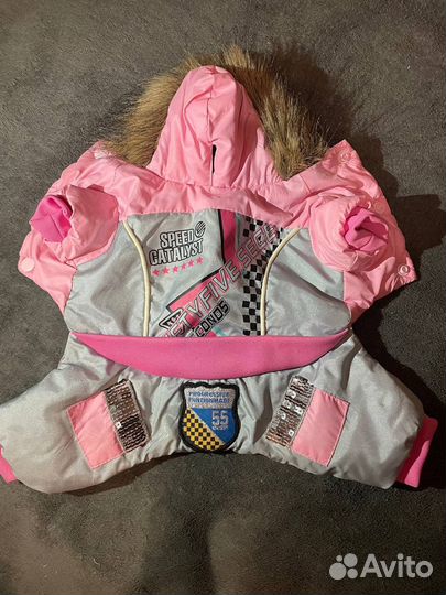 Одежда для собак