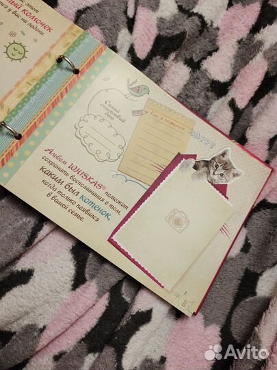 Фотоальбом для котёнка котёнок творчество