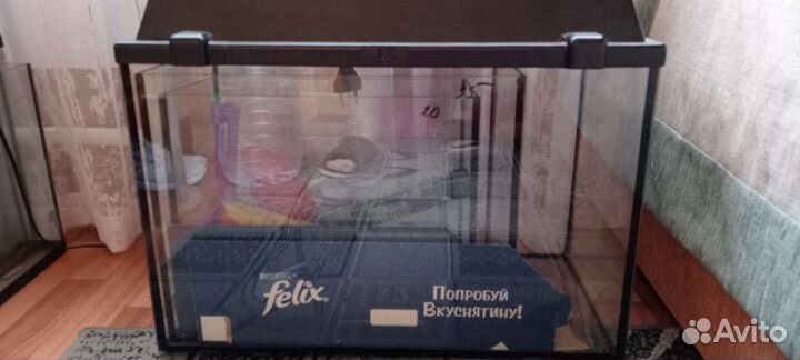 Аквариум для рыб