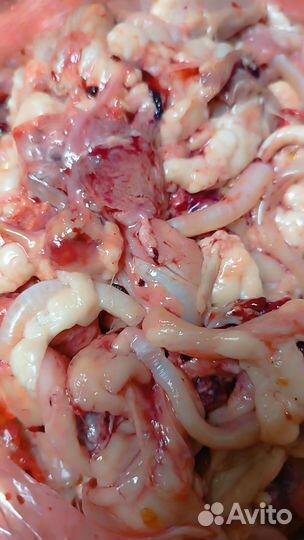 Куриные лапы, головы