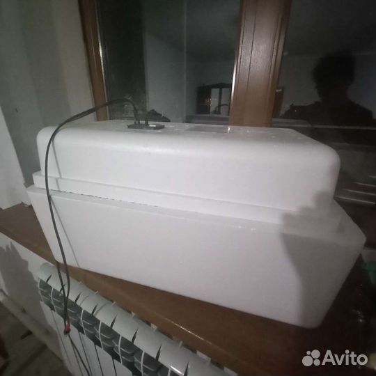 Инкубатор для яиц