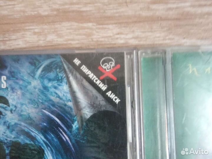 Nautilus pompilius cd