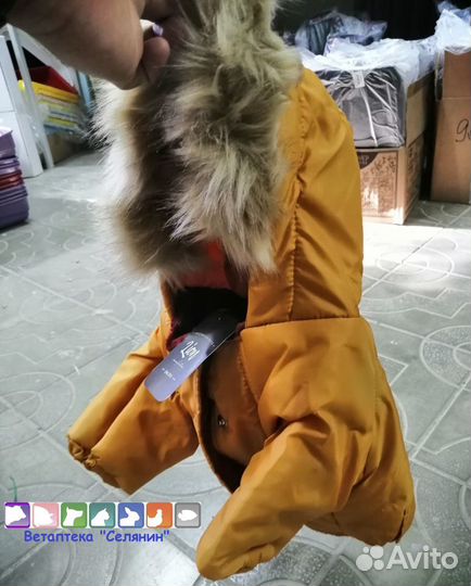 Одежда для собак