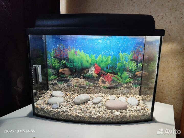 Аквариум