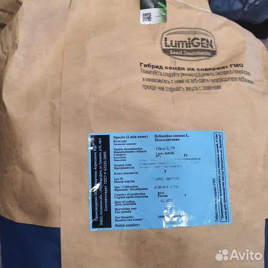 Семена подсолнечника Пионер П64ле99