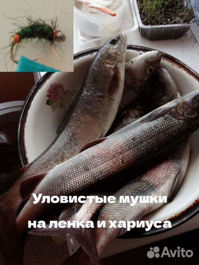 Проверенные мухи на хариуса, ленка