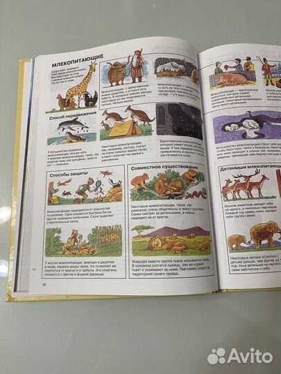 Энциклопедия для детей