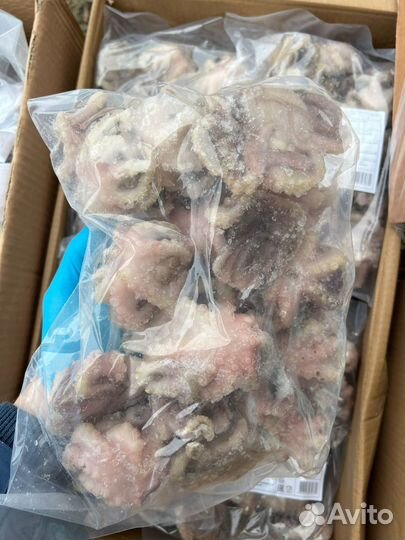 Осьминожки молодые целый очищенный 40/60