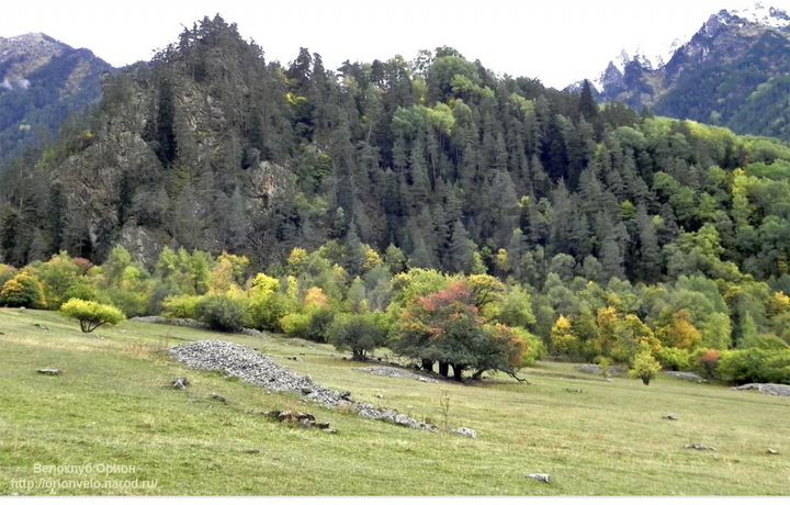 Участок 2,5 га (ИЖС)