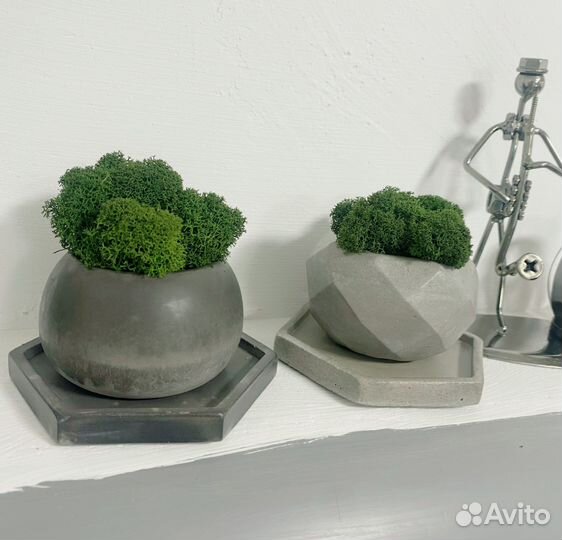 Флорариум, кашпо с мхом и подставкой