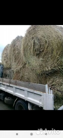 Сено в рулонах