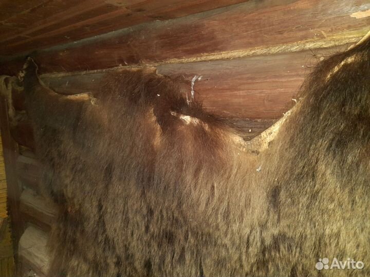 Шкура медведя имитация