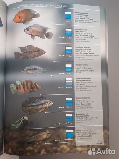 Атлас-справочник: Все об аквариумных рыбках
