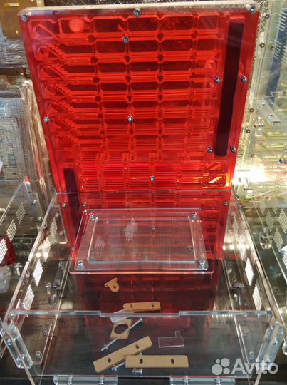 Настоящие Муравьные Фермы, Муравьи, Доставка