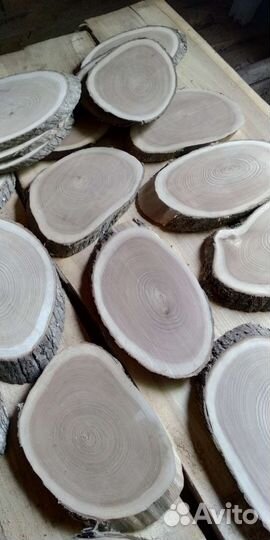 Спилы вяза косые