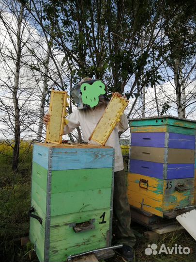 Улей для пчел бу