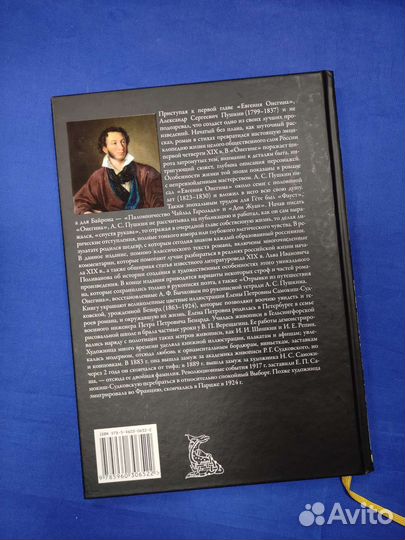 Книга «Евгений Онегин»