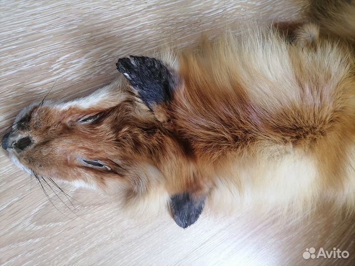 Воротник лисий