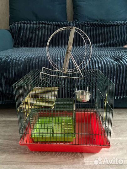 Грызуны. Клетка