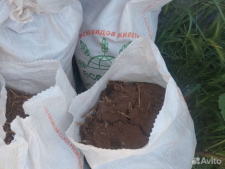 Куриный помет удобрение