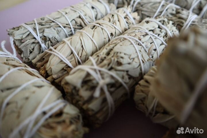 Шалфей Белый от 300шт опт для Озон