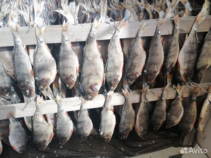 Рыба вяленая - плотва, окунь