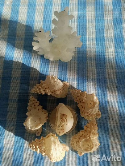Свечи восковые декор ракушки