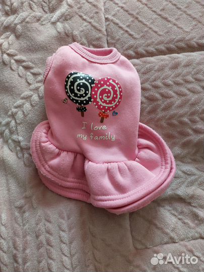 Одежда для маленьких собак