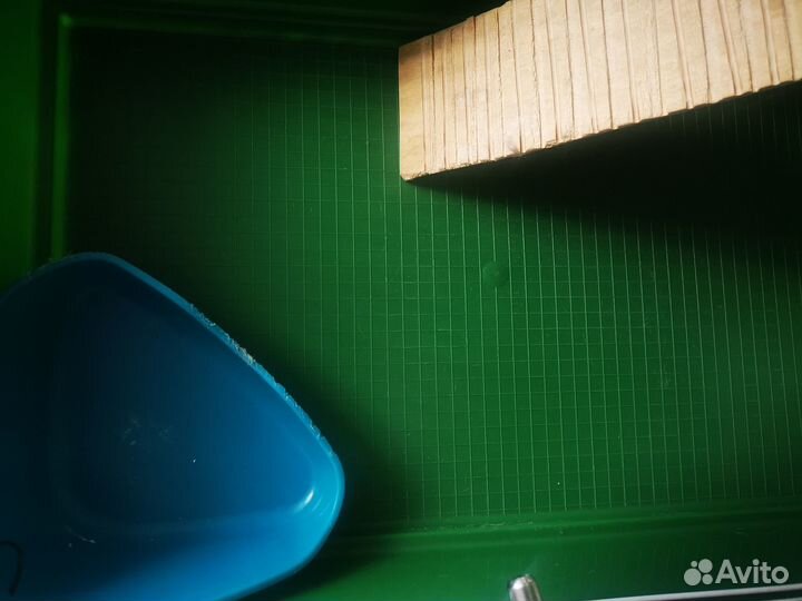 Клетка для грызунов ferplast