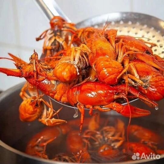 Живые и Варёные Раки с Доставкой
