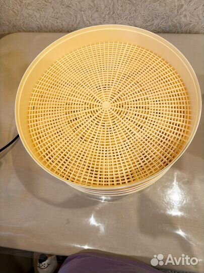 Сушилка для овощей и фруктов