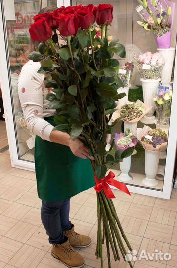 Розы гиганты 140 150 160 170 180 200