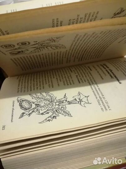 Справочник лекарственных растений