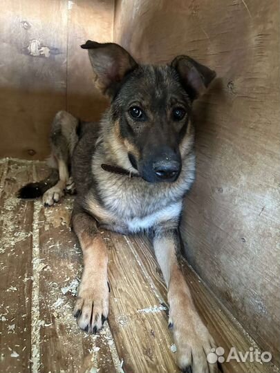 Ребенок в приюте