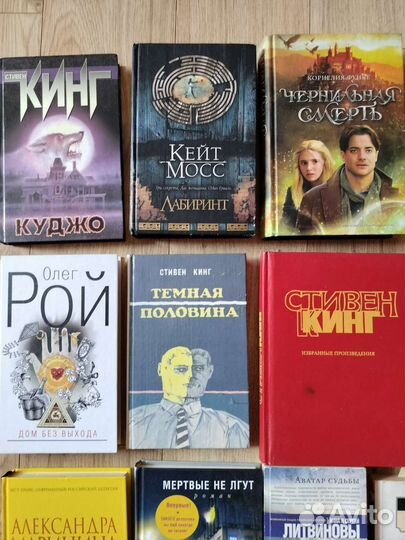 Книги: Кинг, Рой, Мосс, Акунин, Литвиновы