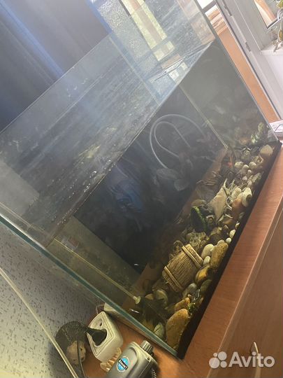 Аквариус с рыбками