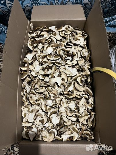 Грибы белые сушеные
