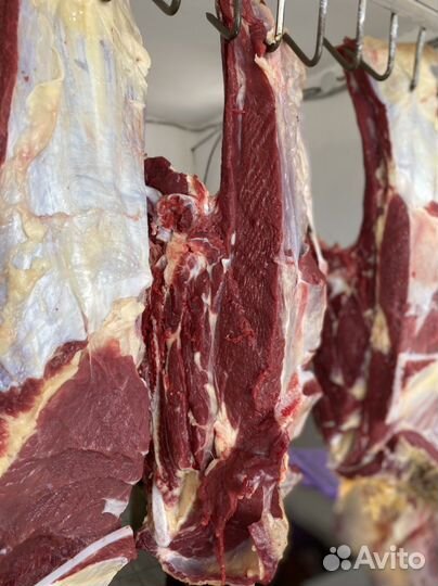 Мясо Оптом и в розницу