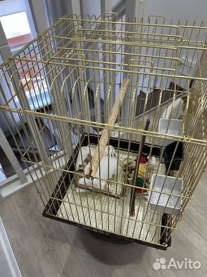 Клетка для попугая корелла, волнистого